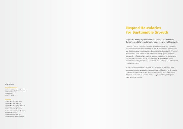 Hyundai cards marketing strategy essay 08 image