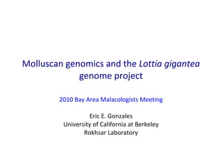 Molluscan genomics and the  Lottia gigantea  genome project 2010 Bay Area Malacologists Meeting Eric E. Gonzales University of California at Berkeley Rokhsar Laboratory 
