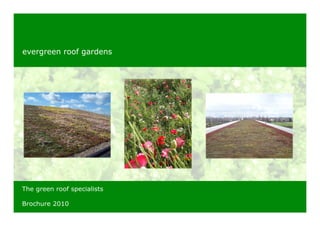 evergreen roof gardens




The green roof specialists

Brochure 2010
 
