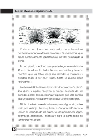 Lee con atención el siguiente texto:
El ichu es una planta que crece en las zonas altoandinas
del Perú formando extensos p...