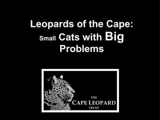 Leopards of the Cape: Small  Cats with  Big  Problems 