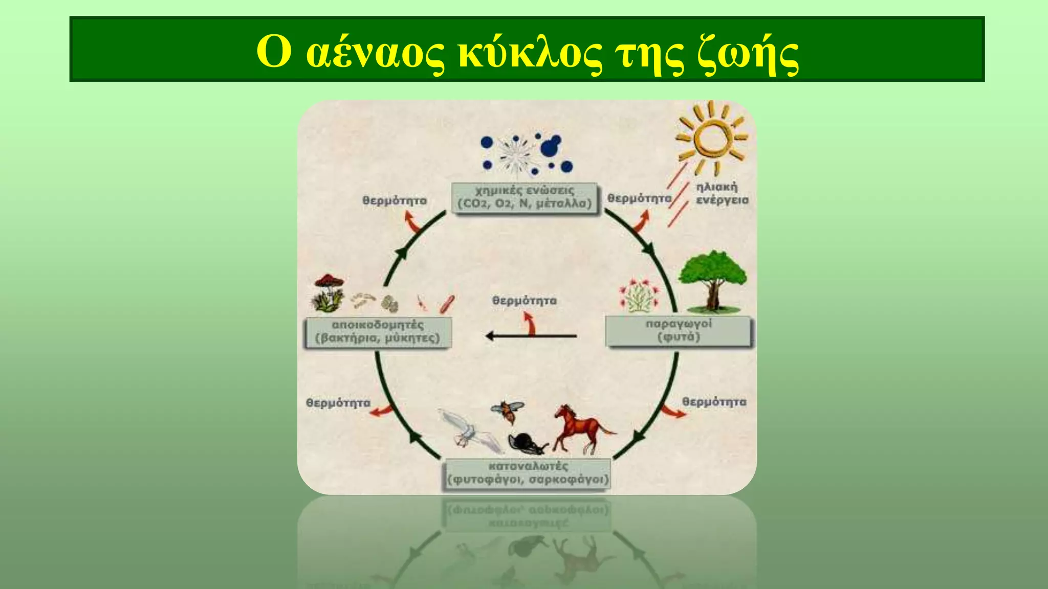 Ο αέναος κύκλος της ζωής
 