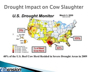 40% of the U.S. Beef Cow Herd Resided in Severe Drought Areas in 2009 