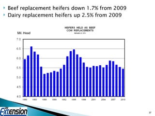 Beef replacement heifers down 1.7% from 2009 Dairy replacement heifers up 2.5% from 2009 