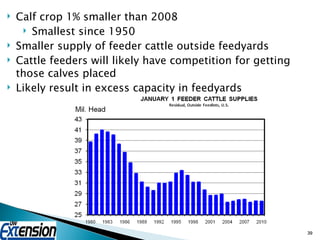 Calf crop 1% smaller than 2008 Smallest since 1950 Smaller supply of feeder cattle outside feedyards Cattle feeders will likely have competition for getting those calves placed Likely result in excess capacity in feedyards 