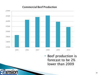 Beef production is forecast to be 2% lower than 2009 
