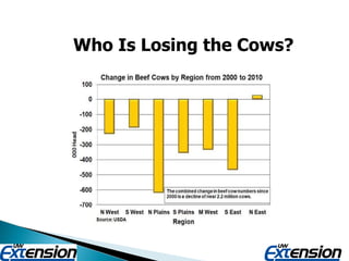 Who Is Losing the Cows? 