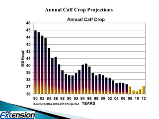 Annual Calf Crop Projections 