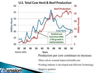 Production per cow continues to increase More calves weaned-improved health care Feeding industry is developed and efficient-Technology Improve genetics 