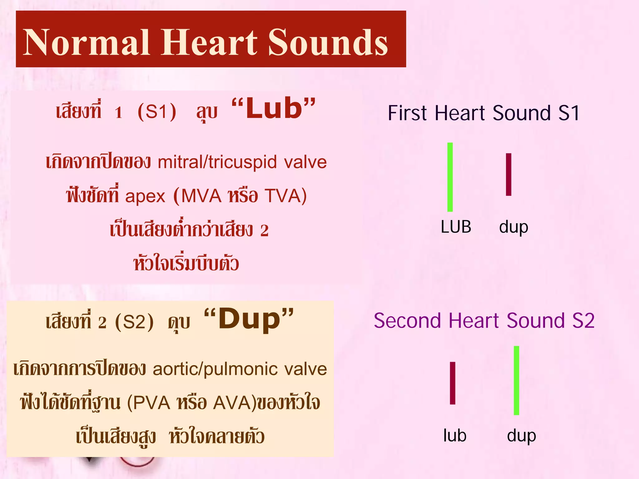2010_Cardiovascular Assessment | PDF