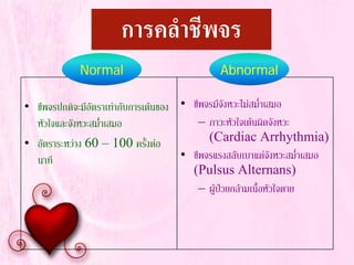 • ชีพจรปกติจะมีอัตราเทากับการเตนของ
หัวใจและจังหวะสม่ําเสมอ
• อัตราระหวาง 60 – 100 ครั้งตอ
นาที
• ชีพจรมีจังหวะไมสม่ําเสมอ
– ภาวะหัวใจเตนผิดจังหวะ
(Cardiac Arrhythmia)
• ชีพจรแรงสลับเบาแตจังหวะสม่ําเสมอ
(Pulsus Alternans)
– ผูปวยกลามเนื้อหัวใจตาย
Normal Abnormal
การคลําชีพจร
 