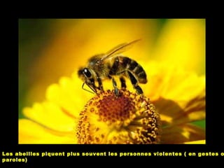 Les abeilles piquent plus souvent les personnes violentes ( en gestes o
paroles)
 
