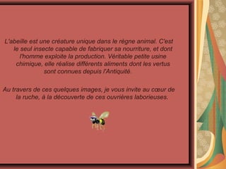   
L'abeille est une créature unique dans le règne animal. C'est 
le seul insecte capable de fabriquer sa nourriture, et dont 
l'homme exploite la production. Véritable petite usine 
chimique, elle réalise différents aliments dont les vertus 
sont connues depuis l'Antiquité.      
  
Au travers de ces quelques images, je vous invite au cœur de 
la ruche, à la découverte de ces ouvrières laborieuses. 
 
