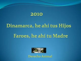 2010 Dinamarca, he ahí tus Hijos Faroes, he ahí tu Madre Derecho Animal 