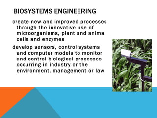 BIOSYSTEMS ENGINEERING create new and improved processes through the innovative use of microorganisms, plant and animal cells and enzymes  develop sensors, control systems and computer models to monitor and control biological processes occurring in industry or the environment. management or law 