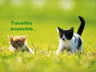Travaillez ensemble… 