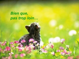 Bien que, pas trop loin… 