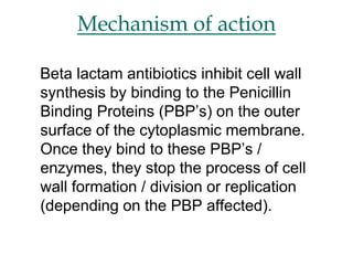 Mechanism of action
Beta lactam antibiotics inhibit cell wall
synthesis by binding to the Penicillin
Binding Proteins (PBP’s) on the outer
surface of the cytoplasmic membrane.
Once they bind to these PBP’s /
enzymes, they stop the process of cell
wall formation / division or replication
(depending on the PBP affected).
 