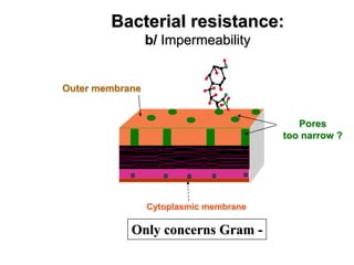 Bacterial resistance:
b/ Impermeability
Outer membrane
Cytoplasmic membrane
Pores
too narrow ?
Only concerns Gram -
 