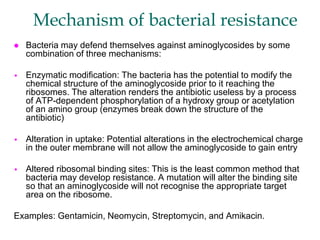 Mechanism of bacterial resistance
 Bacteria may defend themselves against aminoglycosides by some
combination of three mechanisms:
 Enzymatic modification: The bacteria has the potential to modify the
chemical structure of the aminoglycoside prior to it reaching the
ribosomes. The alteration renders the antibiotic useless by a process
of ATP-dependent phosphorylation of a hydroxy group or acetylation
of an amino group (enzymes break down the structure of the
antibiotic)
 Alteration in uptake: Potential alterations in the electrochemical charge
in the outer membrane will not allow the aminoglycoside to gain entry
 Altered ribosomal binding sites: This is the least common method that
bacteria may develop resistance. A mutation will alter the binding site
so that an aminoglycoside will not recognise the appropriate target
area on the ribosome.
Examples: Gentamicin, Neomycin, Streptomycin, and Amikacin.
 