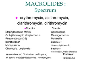 MACROLIDES :
Spectrum
 erythromycin, azithromycin,
clarithromycin, dirithromycin
Cocci + Cocci -
Staphylococcus Meti S Gonococcus
Gr A b hemolytic streptococcus Meningococcus
Pneumococcus(IS) Moraxella
Intracellular Bacillus +
Mycoplasma Listeria, diphtheria B.
Chlamydia, Legionella Bacillus -
Helicobacter, Vibrio cholerae
Anaerobes: (+) Clostridium perfringens,
P. acnes, Peptostreptococcus., Actinomyces.
Protozoan
Toxoplasma
 