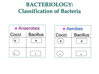BACTERIOLOGY:
Classification of Bacteria
 Anaerobes
Cocci Bacillus
+ +
- -
 Aerobes
Cocci Bacillus
+ +
- -
 