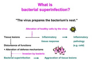 What is
bacterial superinfection?
"The virus prepares the bacterium's nest."
Alteration of healthy cells by the virus
Tissue lesions Inflammatory Inflammatory
tissue response pathology
Disturbance of functions (e.g. cold)
+ Alteration of defense mechanisms
Invasion by bacteria
Bacterial superinfection Aggravation of tissue lesions
 