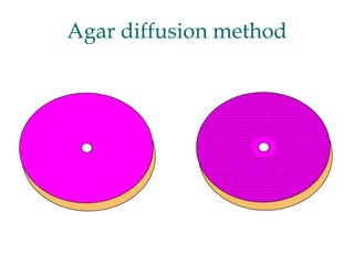 Agar diffusion method
 