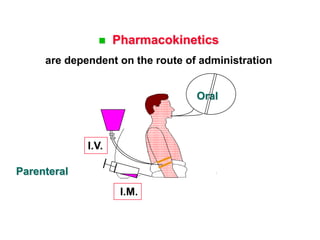 Pharmacokinetics
are dependent on the route of administration
Oral
Parenteral
I.M.
I.V.
 