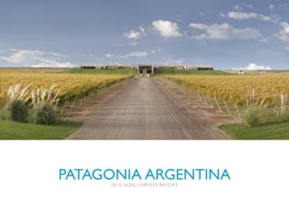 2010 Harvest   Nqn   Patagonia Argentina