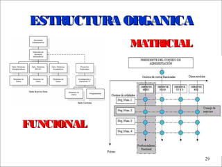 - GESTION DE OPERACIONES –
29
ESTRUCTURA ORGANICAESTRUCTURA ORGANICA
FUNCIONALFUNCIONAL
MATRICIALMATRICIAL
 