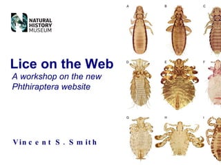 Vincent S. Smith Lice on the Web A workshop on the new Phthiraptera website 