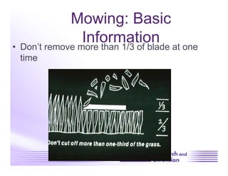 Mowing: Basic
                 Information at one
•  Don’t remove more than 1/3 of blade
 time
 