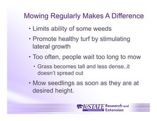 Mowing Regularly Makes A Difference
  Limits ability of some weeds
  Promote healthy turf by stimulating
   lateral growth
  Too often, people wait too long to mow
    Grass becomes tall and less dense..it
     doesn’t spread out
  Mow seedlings as soon as they are at
   desired height.
 