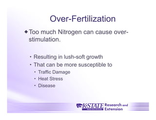 Over-Fertilization
 Too much Nitrogen can cause over-
  stimulation.

   Resulting in lush-soft growth
   That can be more susceptible to
     Traffic Damage
     Heat Stress
     Disease
 