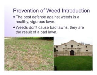 Prevention of Weed Introduction
 The best defense against weeds is a
  healthy, vigorous lawn.
 Weeds don't cause bad lawns, they are
  the result of a bad lawn.
 
