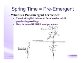 Spring Time = Pre-Emergent
 