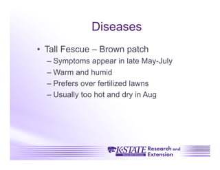Diseases
•  Tall Fescue – Brown patch
  –  Symptoms appear in late May-July
  –  Warm and humid
  –  Prefers over fertilized lawns
  –  Usually too hot and dry in Aug
 