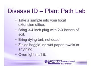 Disease ID – Plant Path Lab
  •  Take a sample into your local
     extension office.
  •  Bring 3-4 inch plug with 2-3 inches of
     soil.
  •  Bring dying turf, not dead.
  •  Ziploc baggie, no wet paper towels or
     anything.
  •  Overnight mail it.
 