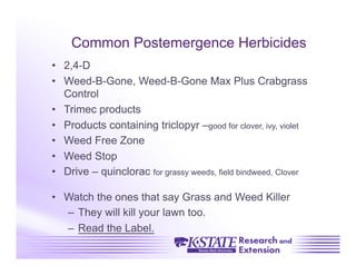 Common Postemergence Herbicides
•  2,4-D
•  Weed-B-Gone, Weed-B-Gone Max Plus Crabgrass
   Control
•  Trimec products
•  Products containing triclopyr –good for clover, ivy, violet
•  Weed Free Zone
•  Weed Stop
•  Drive – quinclorac for grassy weeds, field bindweed, Clover

•  Watch the ones that say Grass and Weed Killer
   –  They will kill your lawn too.
   –  Read the Label.
 