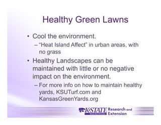 Healthy Green Lawns
•  Cool the environment.
  –  “Heat Island Affect” in urban areas, with
     no grass
•  Healthy Landscapes can be
   maintained with little or no negative
   impact on the environment.
  –  For more info on how to maintain healthy
     yards, KSUTurf.com and
     KansasGreenYards.org
 
