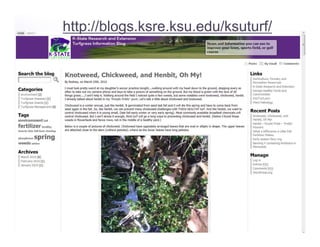 http://blogs.ksre.ksu.edu/ksuturf/
 