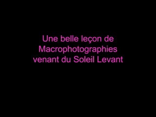 Une belle leçon de
Macrophotographies
venant du Soleil Levant

 