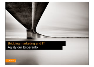 Bridging marketing and IT
Agility our Esperanto
 
