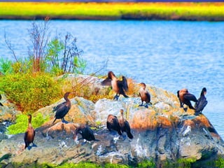 Prime Lens  vs. Zoom lens  Prime lenses have a fixed focal length If you want to change the size and angle of your subject you have to physically move closer or further away.  They take clearer pictures then zoom lenses  (no moving parts like a zoom lens)   They are lighter then zoom lenses  (good for traveling)  They are less expensive then zoom lenses 