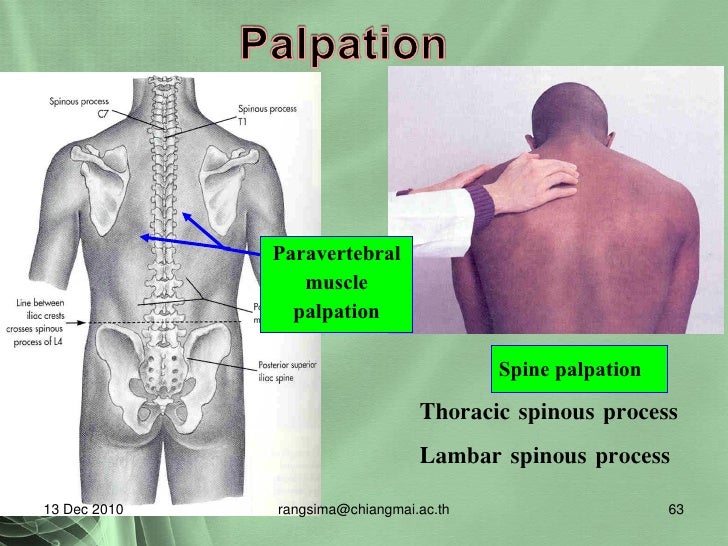 2010 musculo skeleton assessment