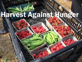 Harvest Against Hunger
 