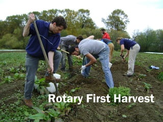 Rotary First Harvest
 