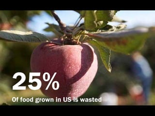 25%Of food grown in US is wasted
 