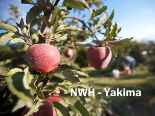 NWH - Yakima
 
